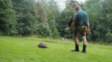 Hundeausbildung 